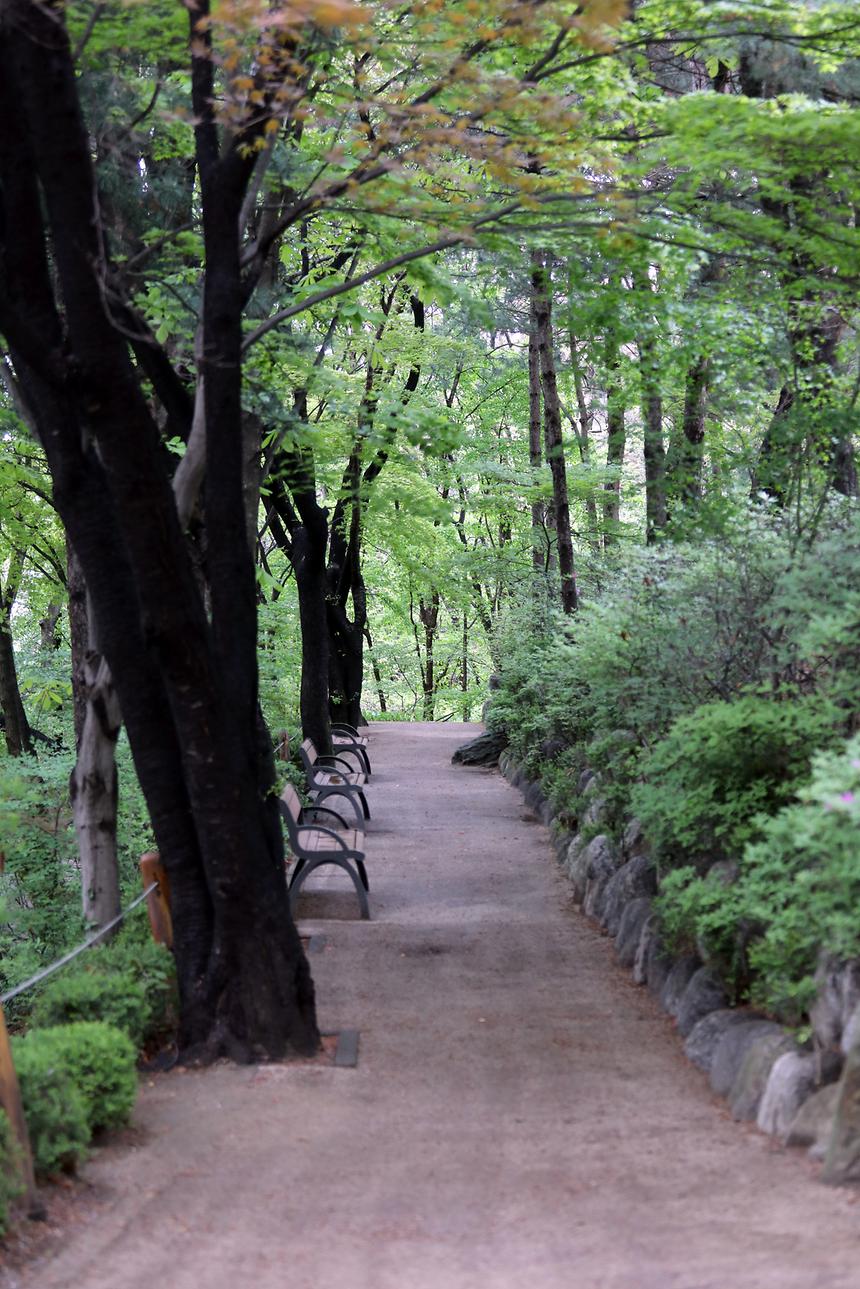 대모산 - 2