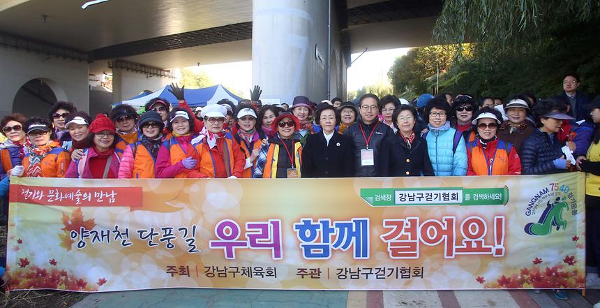양재천 단풍길걷기 - 3