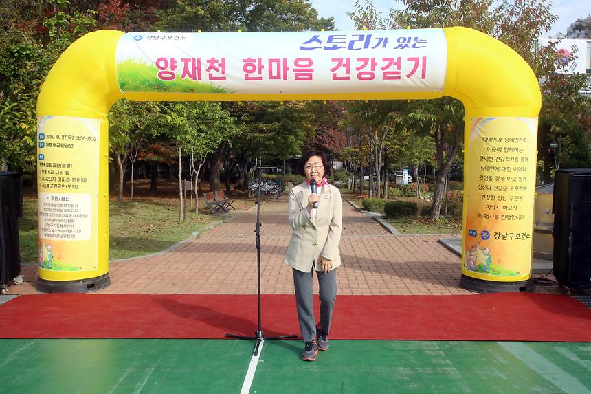 양재천 한마음걷기운동 - 1