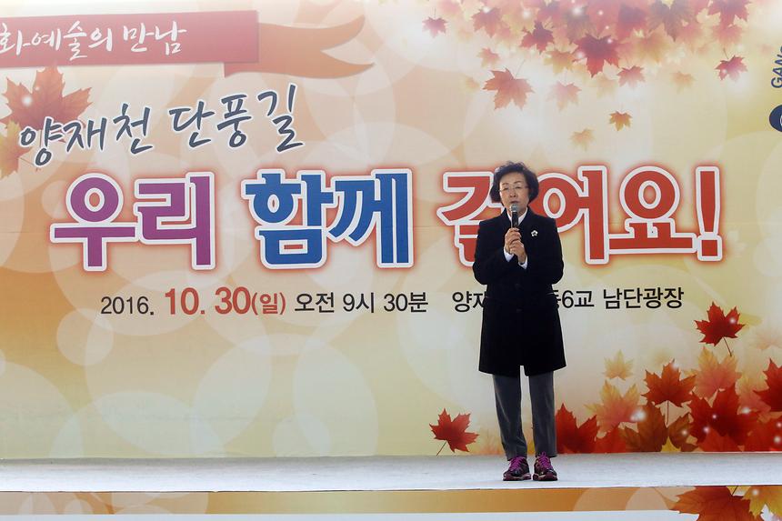 양재천 단풍길걷기 - 2