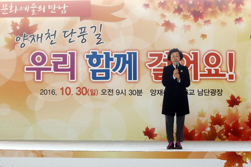 양재천 단풍길걷기 - 1