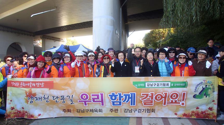 양재천 단풍길걷기 - 4