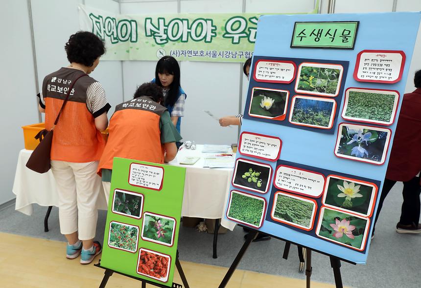 친환경페스티벌  - 2