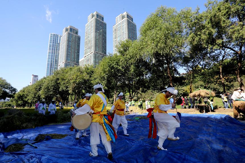 양재천 가을걷이 - 1