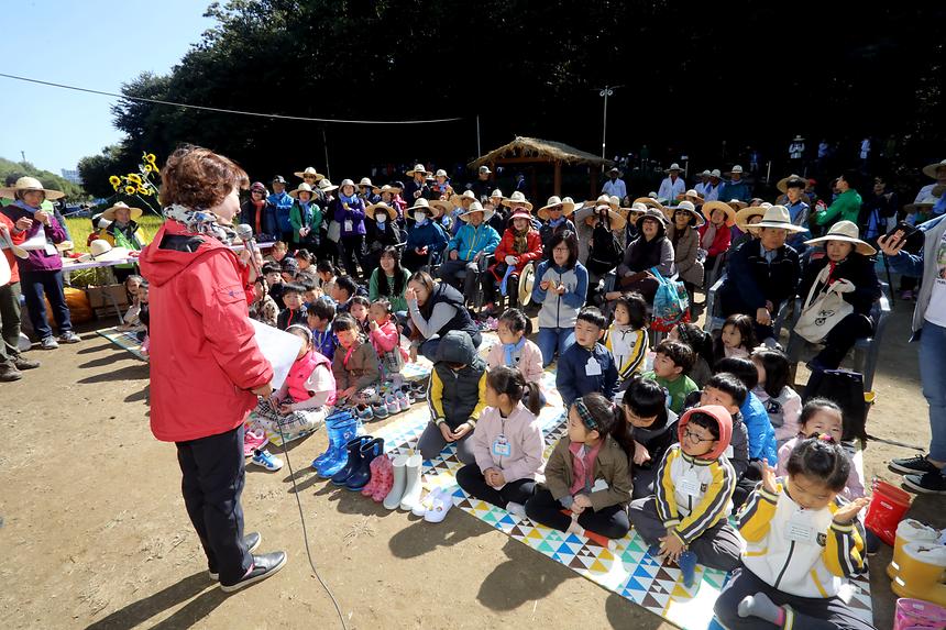 양재천 가을걷이 - 3