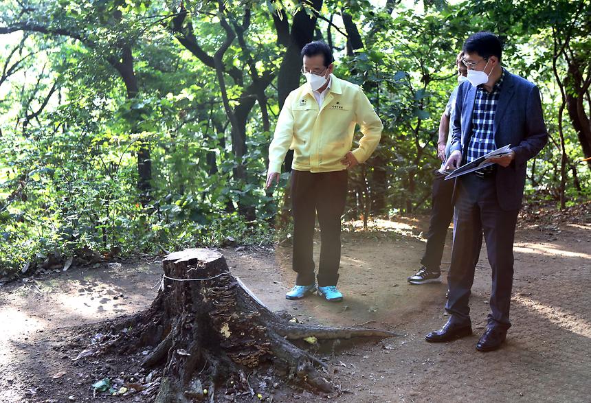  매봉산 체육시설 현장점검 - 2