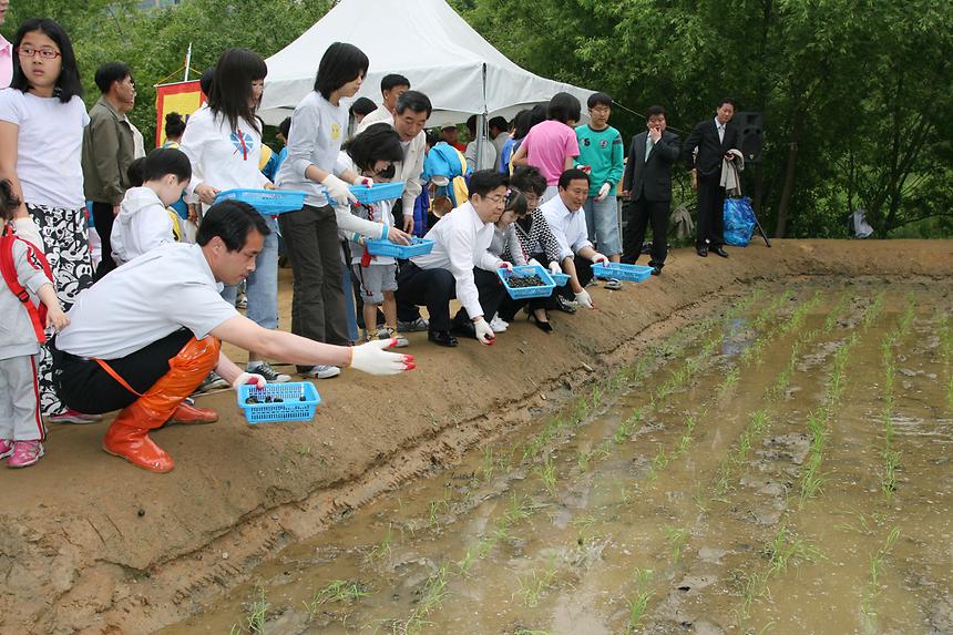 양재천 모내기 - 5