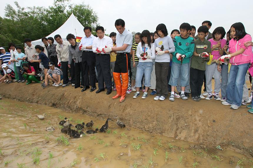 양재천 모내기 - 4