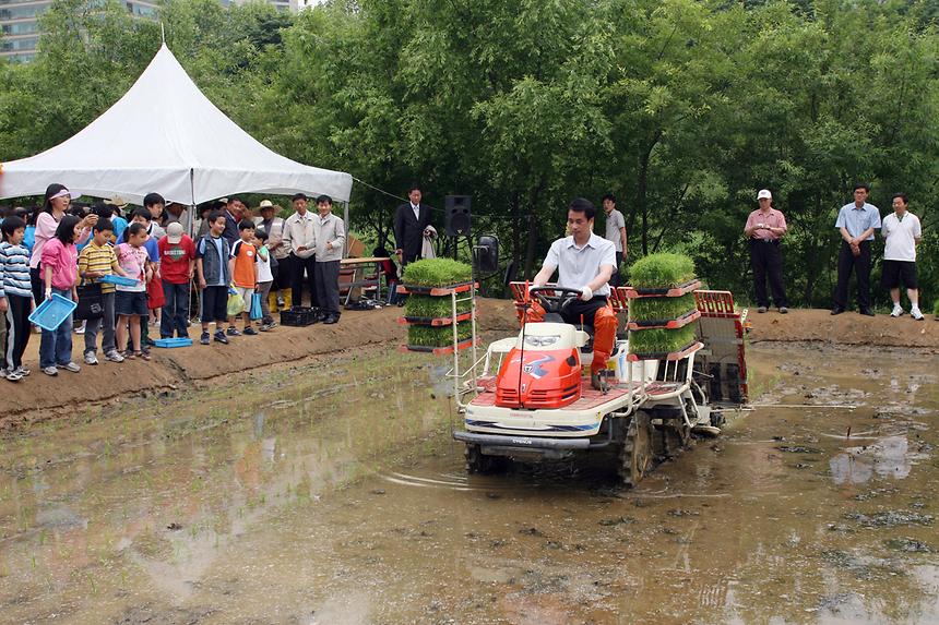 양재천 모내기 - 6