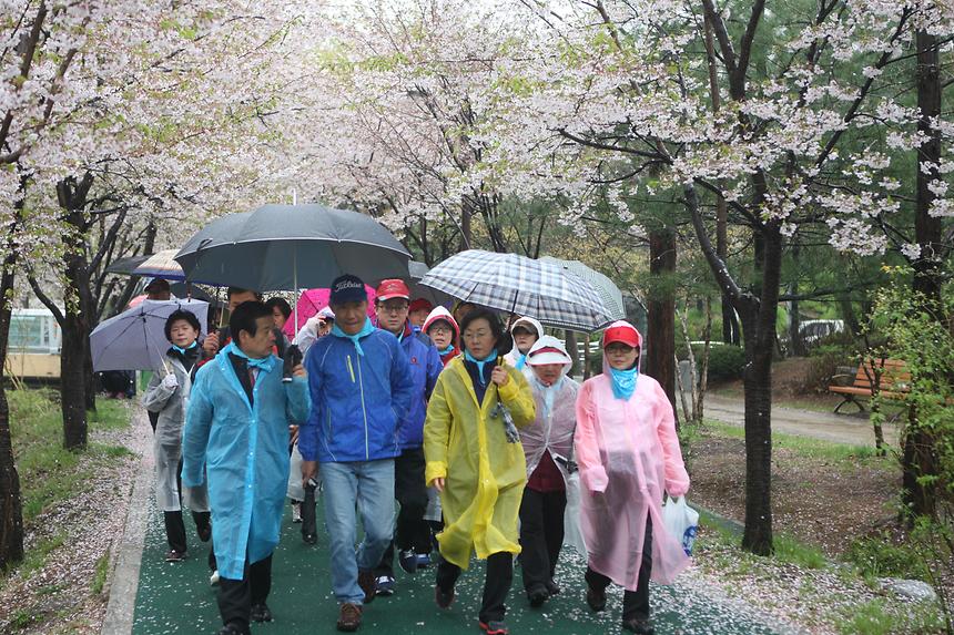 제1회 강남구청장배 생활체육 구민건강 걷기대회 - 5