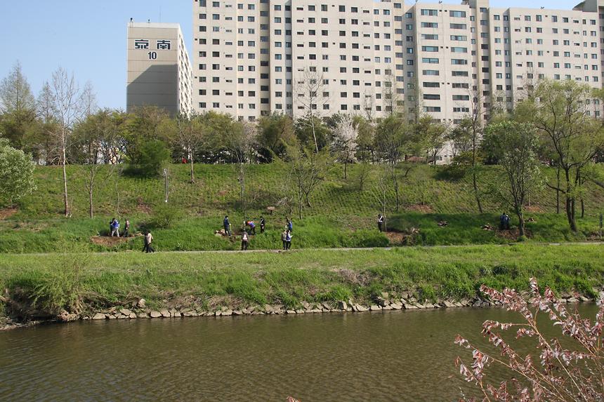 양재천 주민참여 기념식수 행사 - 4