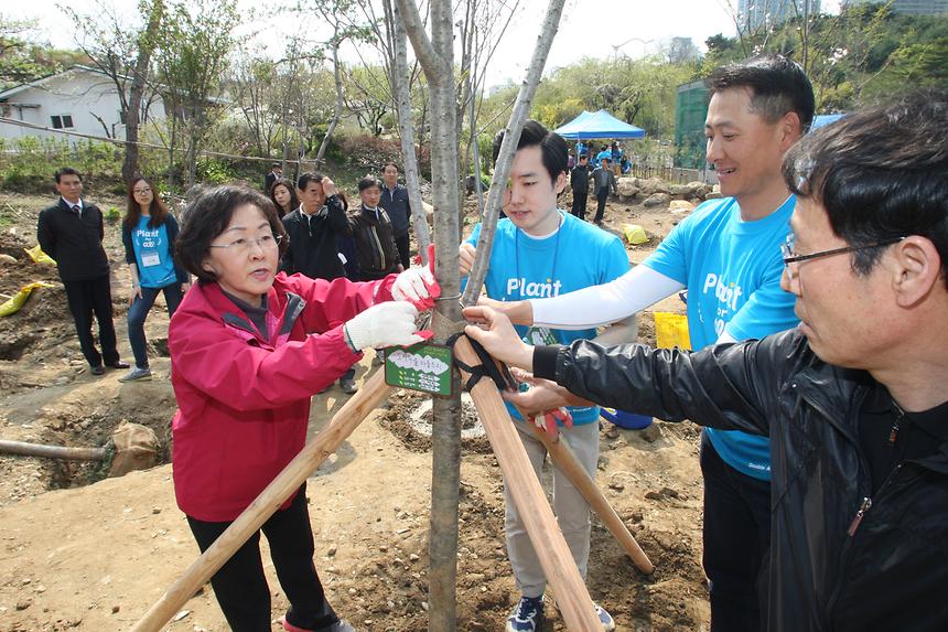 강남구 트리플래닛 도시숲 조성 - 5