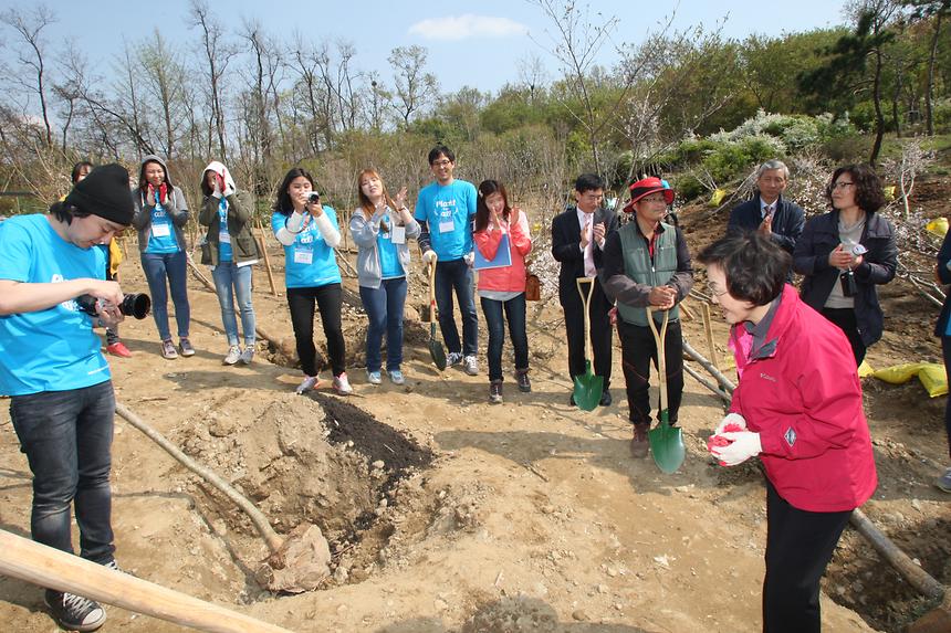강남구 트리플래닛 도시숲 조성 - 7