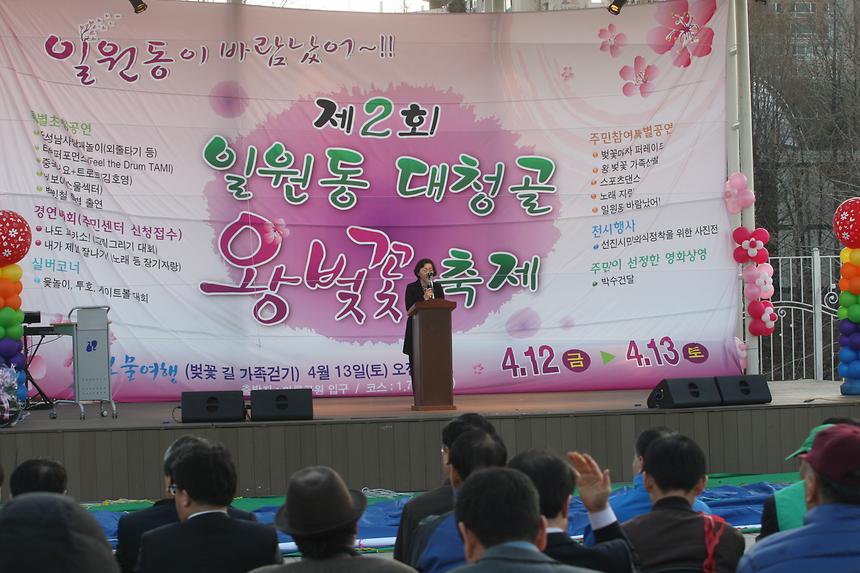 일원동 대청골 벚꽃축제 - 1