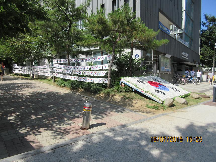 태극기 달기 캠페인(개포2동) - 3