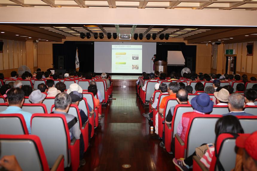 강남구 희망실현창구 5주년 기념 성과보고대회 - 2