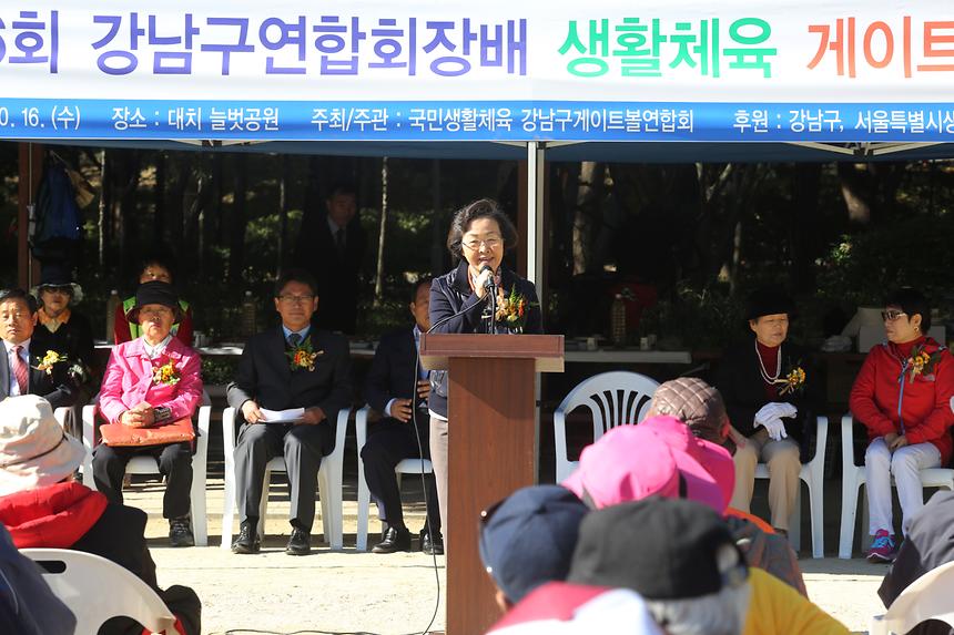 제16회 강남구연합회장배 게이트볼 대회 - 1