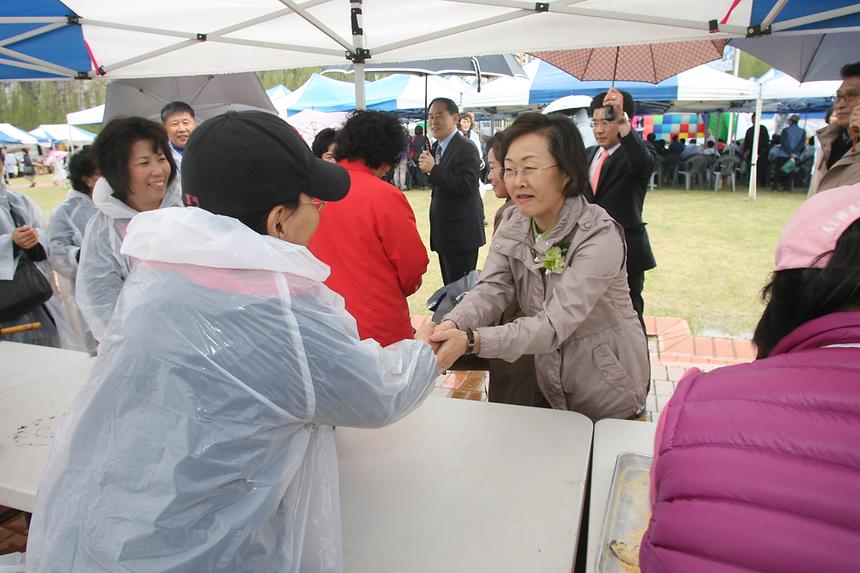 대청벚꽃축제 - 4