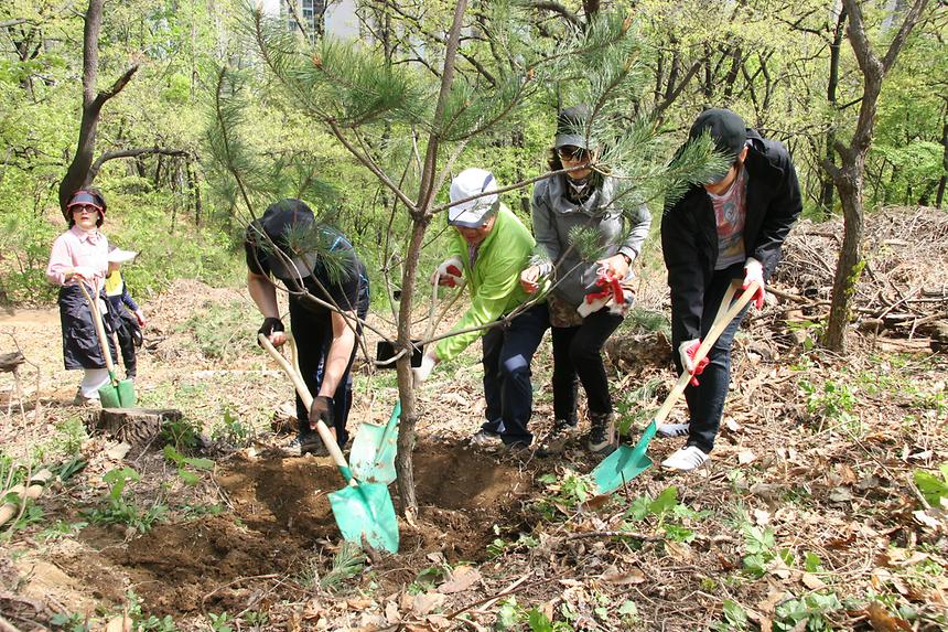 푸른숲 매봉산 가꾸기 매봉산기념식수 - 1