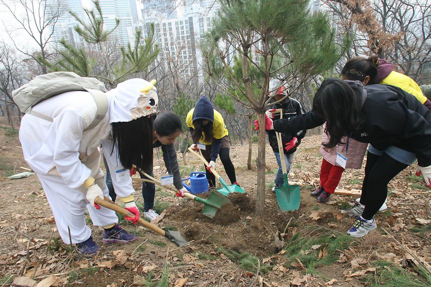 강남구 트리플래닛 도시숲 조성 - 6