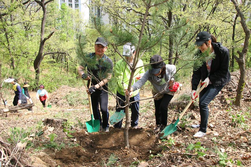 푸른숲 매봉산 가꾸기 매봉산기념식수 - 4