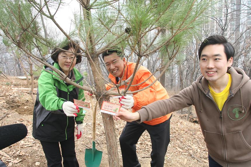 강남구 트리플래닛 도시숲 조성 - 5