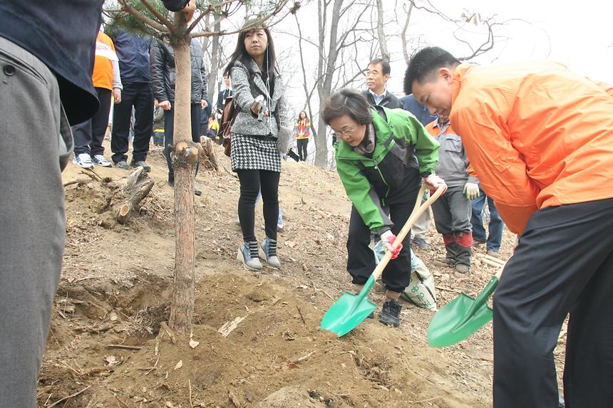강남구 트리플래닛 도시숲 조성 - 4