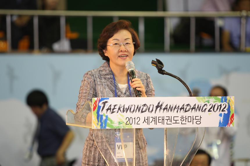 세계태권도 한마당 - 3