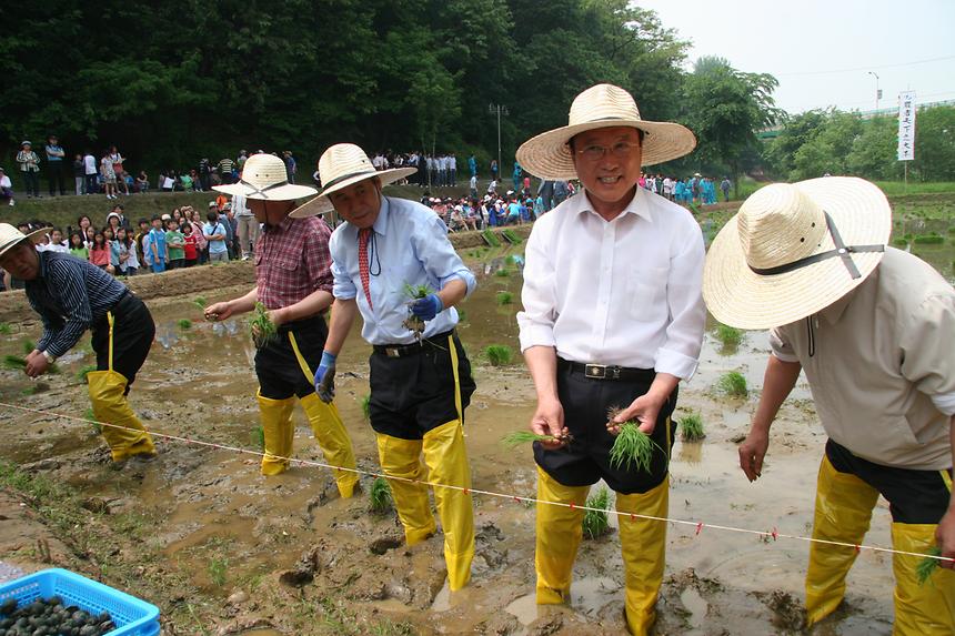 양재천 모내기 행사 - 1