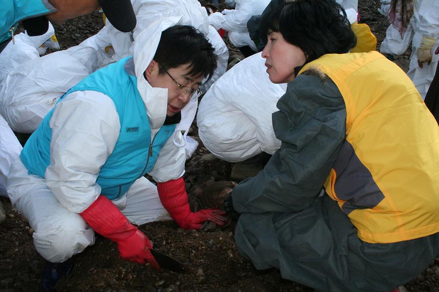 태안 자원봉사 - 2
