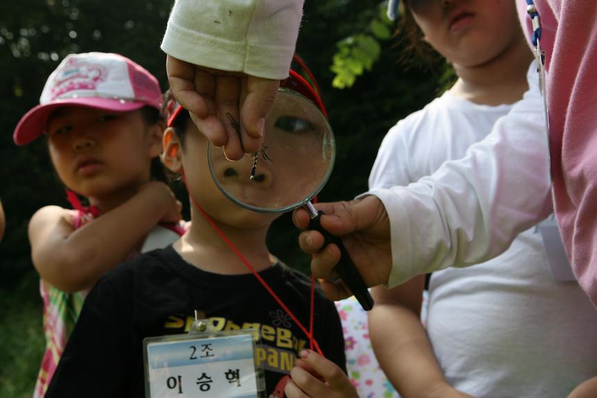 양재천 여름 풀꽃교실 - 3