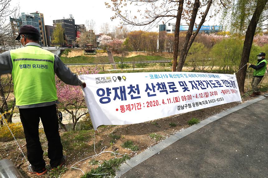 이번 주말도 양재천 전면통제  - 1