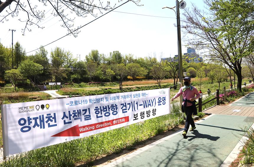 양재천, 주말 일방통행 개방  - 2