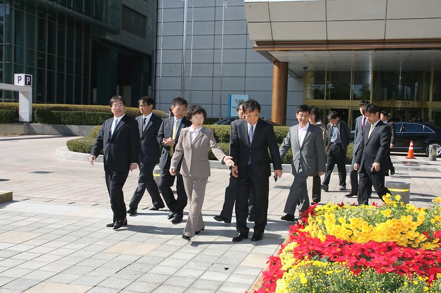 국화페스티벌 - 5
