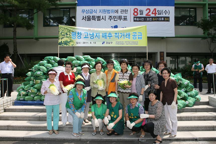 평창 고랭지 배추 직거래 공급 - 3