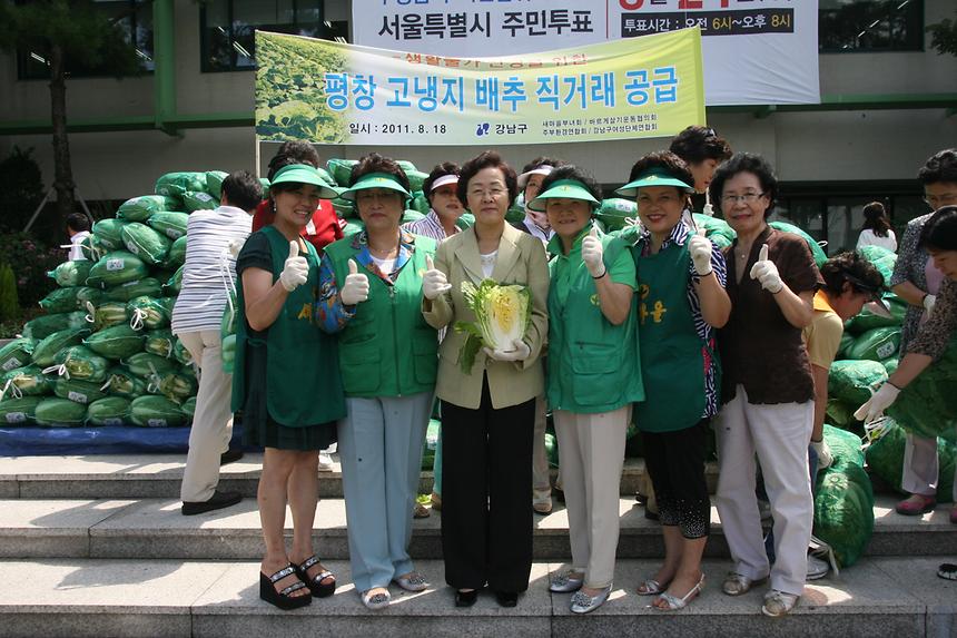 평창 고랭지 배추 직거래 공급 - 4