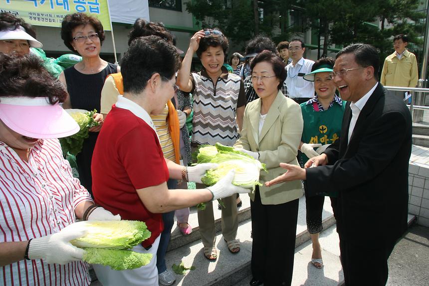 평창 고랭지 배추 직거래 공급 - 2