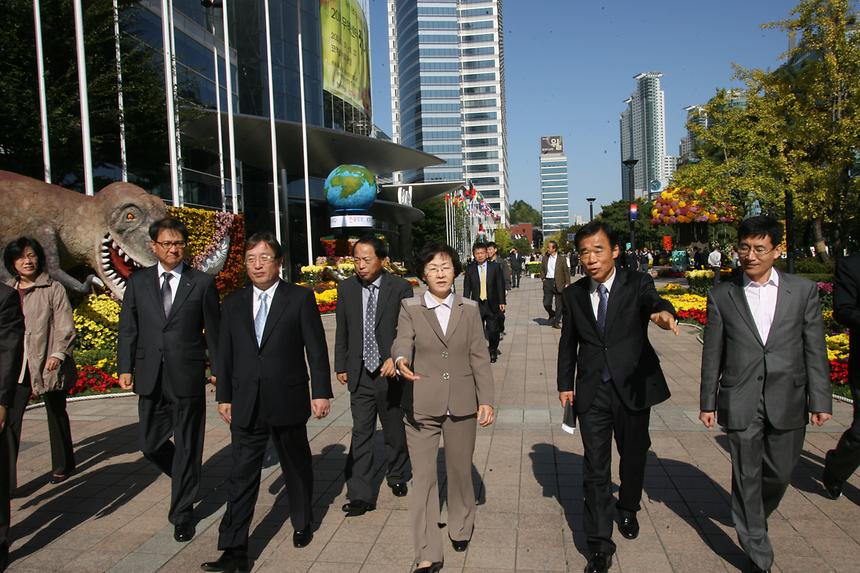 국화페스티벌 - 4
