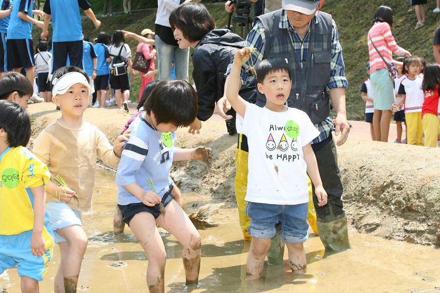 양재천 모내기 행사 - 5