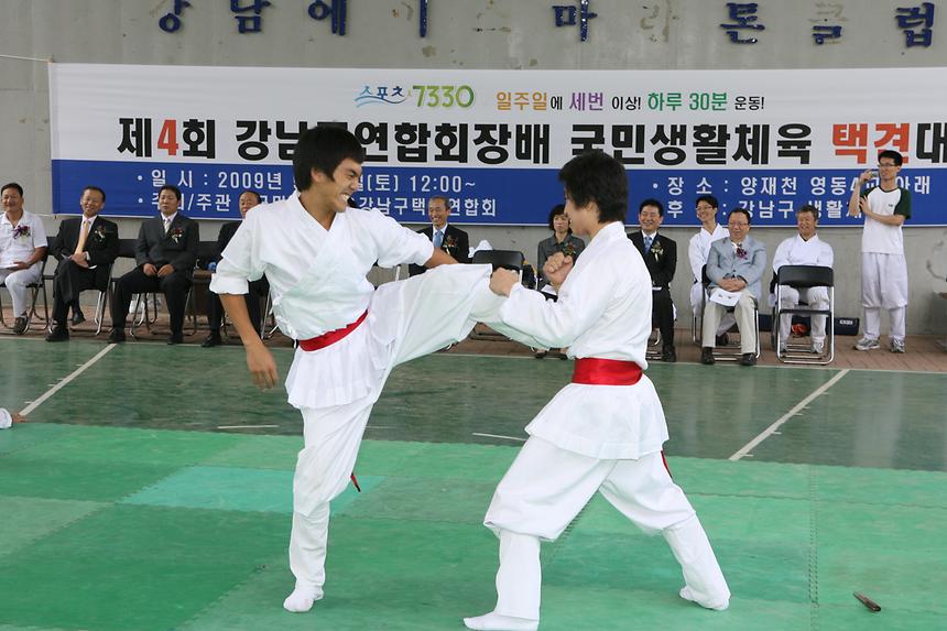 택견대회 - 5