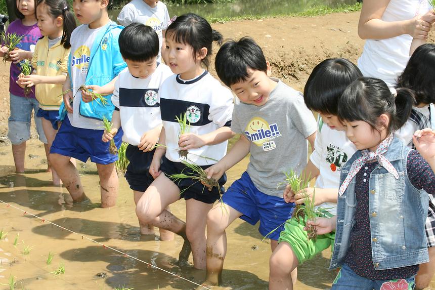 양재천 모내기 행사 - 1