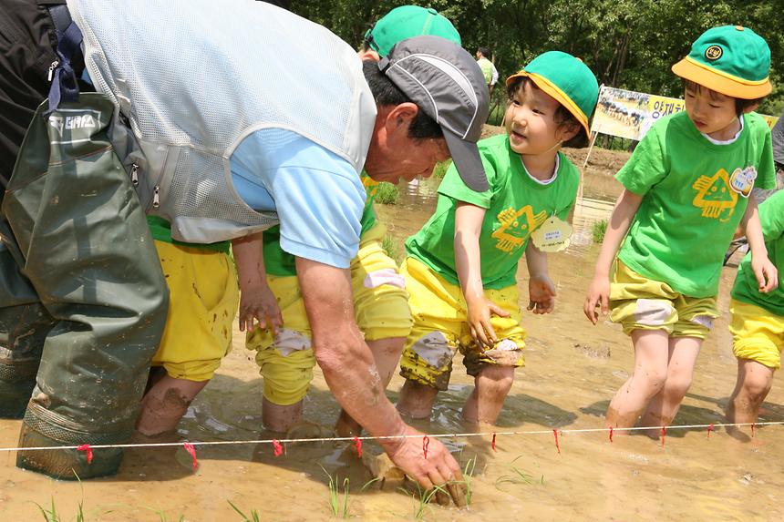 양재천 모내기 행사 - 4