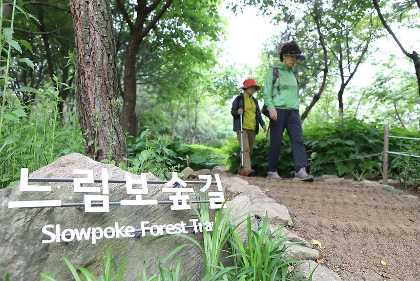 대모산 자락길 - 6