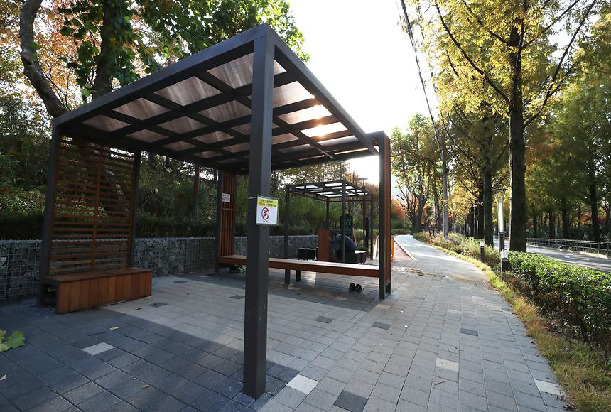 양재천 메타세쿼이아길 - 10