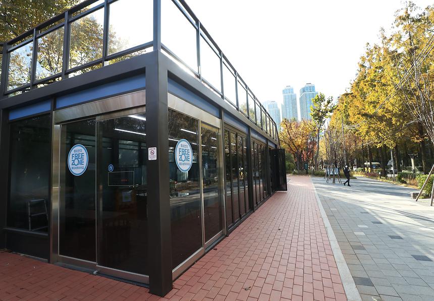 양재천 메타세쿼이아길 - 6