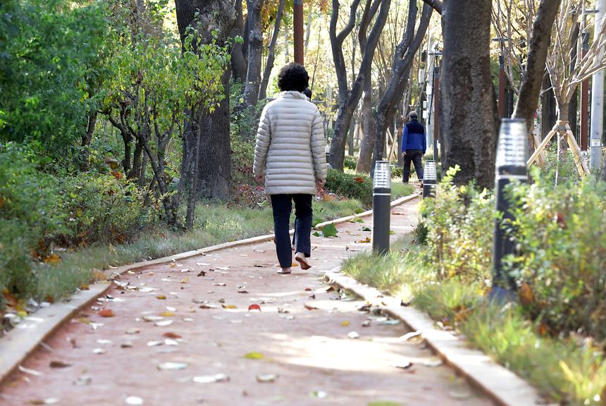 양재천 메타세쿼이아길 - 5