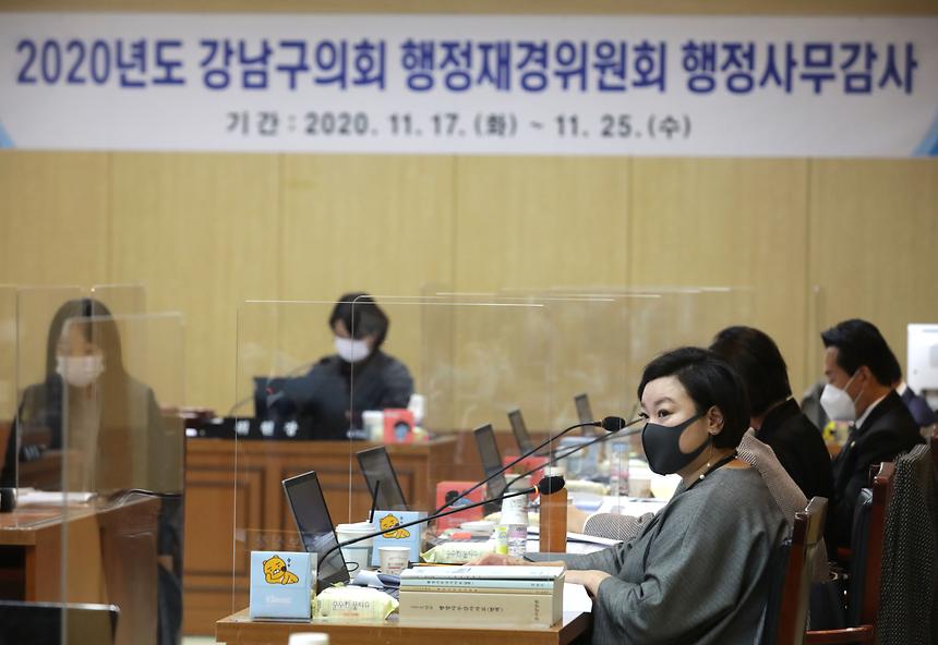 2020년도 강남구의회 행정사무감사 - 7