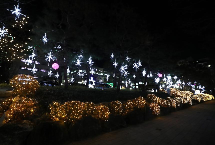 구청 화단 조명등 점등식 - 3