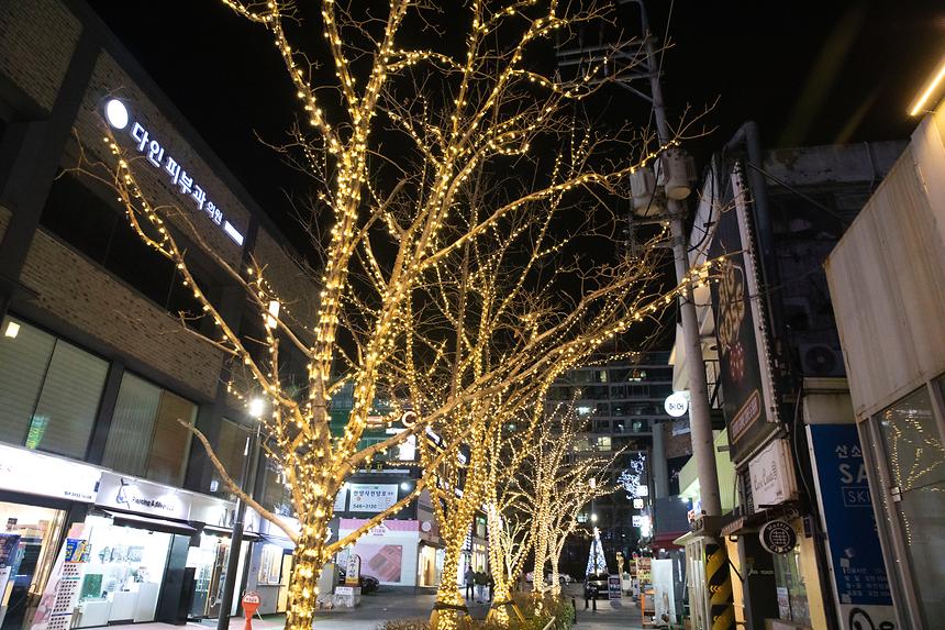 압구정 로데오거리 ‘빛의 거리’ 변신  - 9