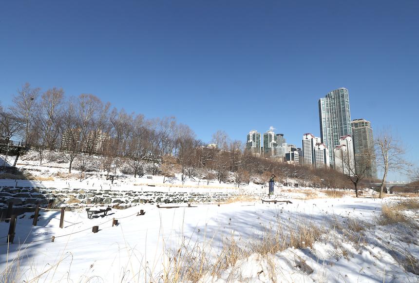 양재천 설경 - 3